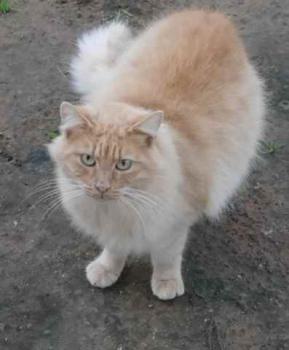 Nanuk Bild von Nanuk