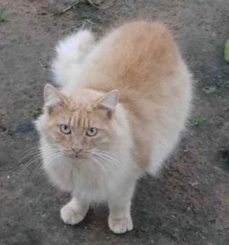Nanuk Bild von Nanuk