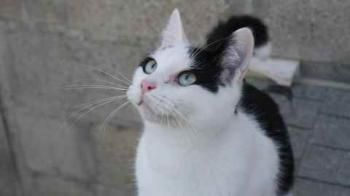 Alessio Bild von Alessio