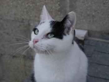 Alessio Bild von Alessio
