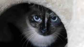 Tina Bild von Tina