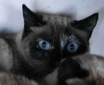 Tina Bild von Tina
