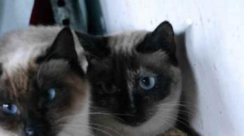 Tina Bild von Tina
