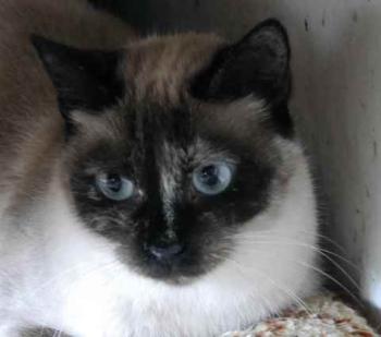 Tina Bild von Tina