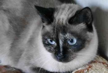 Tina Bild von Tina