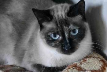 Tina Bild von Tina