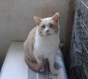 Canelito Bild von Canelito