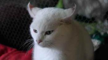 Nieves Bild von Nieves