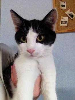 Moritz Bild von Moritz