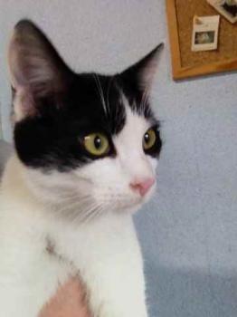 Moritz Bild von Moritz