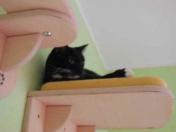 Diva Bild von Diva