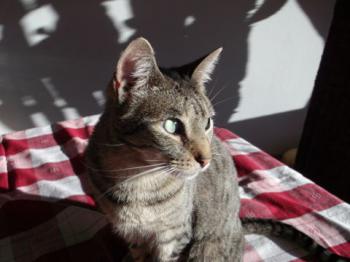 Bild von Leila