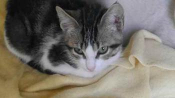 Cherie Bild von Cherie