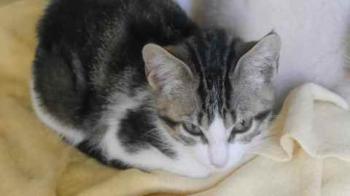 Cherie Bild von Cherie