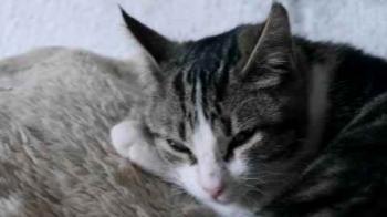 Cherie Bild von Cherie
