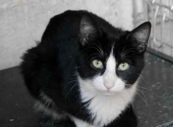 Bild von Dayo