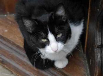 Bild von Dayo