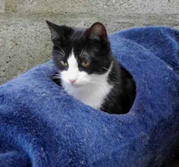 Bild von Dayo