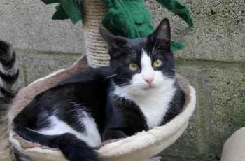 Bild von Dayo
