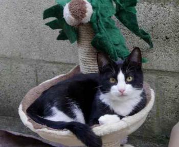 Bild von Dayo