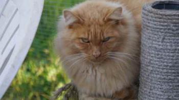 Nanuk Bild von Nanuk
