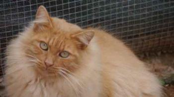 Nanuk Bild von Nanuk