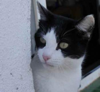 Bild von Fenja