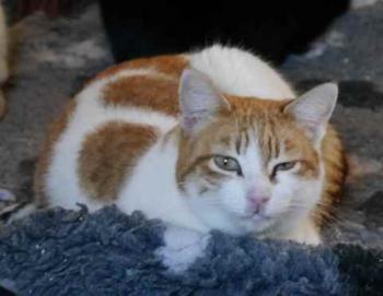 Mandy Bild von Mandy