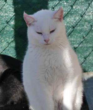 Nieves Bild von Nieves