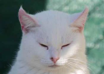 Nieves Bild von Nieves