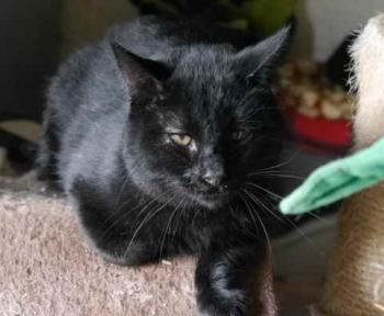 Coco Bild von Coco
