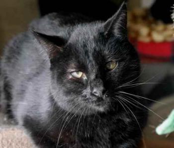 Coco Bild von Coco