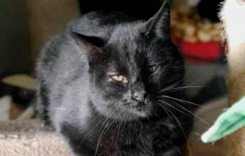 Coco Bild von Coco