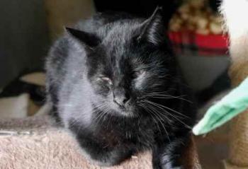 Coco Bild von Coco