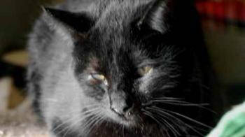Coco Bild von Coco
