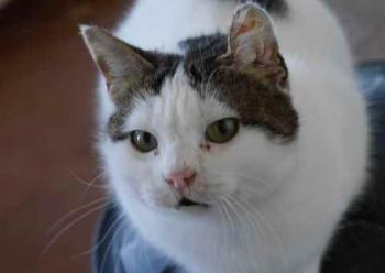 Daisy Bild von Daisy
