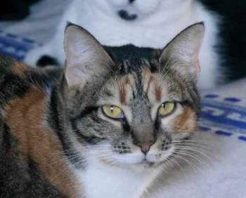 Marie Bild von Marie