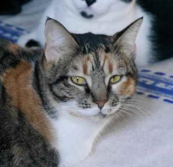 Marie Bild von Marie