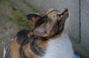 Marie Bild von Marie