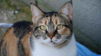Marie Bild von Marie