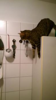 Yuki Bild von Yuki