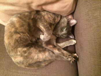 Emmi Bild von Emmi