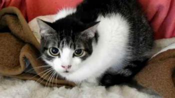 Peque Bild von Peque