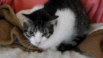 Peque Bild von Peque