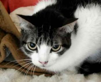 Peque Bild von Peque