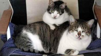 Peque Bild von Peque