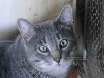 Cuco Bild von Cuco