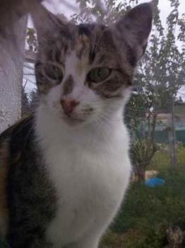 Lotte Bild von Lotte