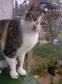Lotte Bild von Lotte