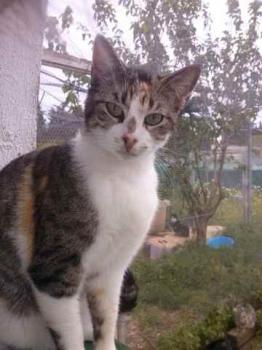 Lotte Bild von Lotte